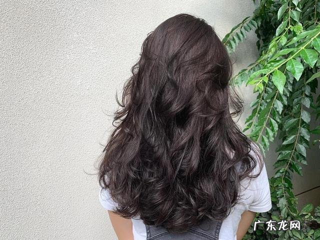 生发育发洗发水排行 生发养发洗发水哪款最好