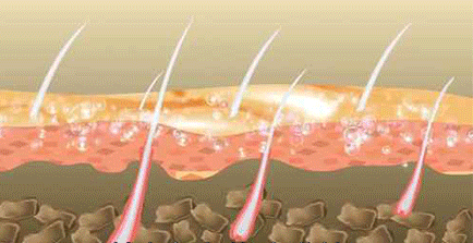 中老年人洗头发的禁忌 老人洗头护发注意事项