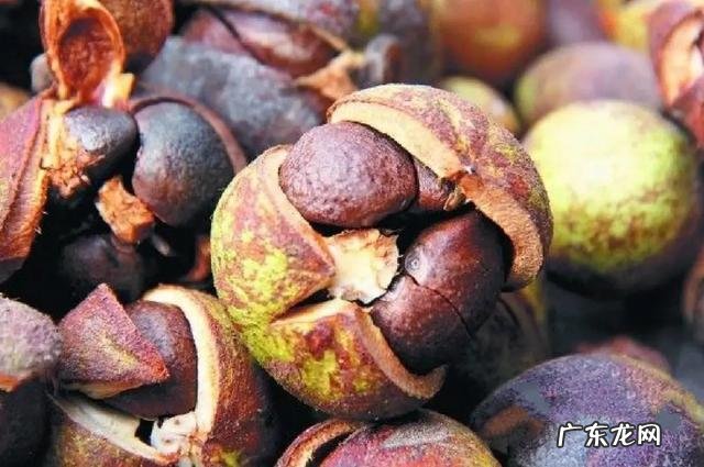 中老年人洗头发的禁忌 老人洗头护发注意事项