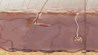 中老年人洗头发的禁忌 老人洗头护发注意事项