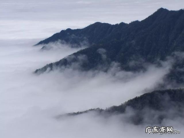 想问问大家父母退休后,都在干什么我妈就是闲不下来怎么办