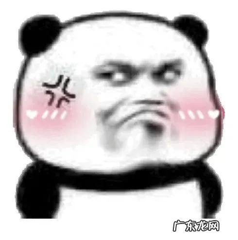 治疗秃头的洗发水 秃头头发稀少用什么洗发水