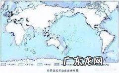 你见过的最厉害的财务人是什么样的