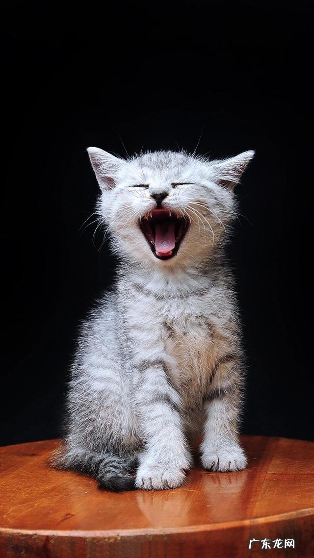 四十岁的人真的会和二十多岁的人谈恋爱吗