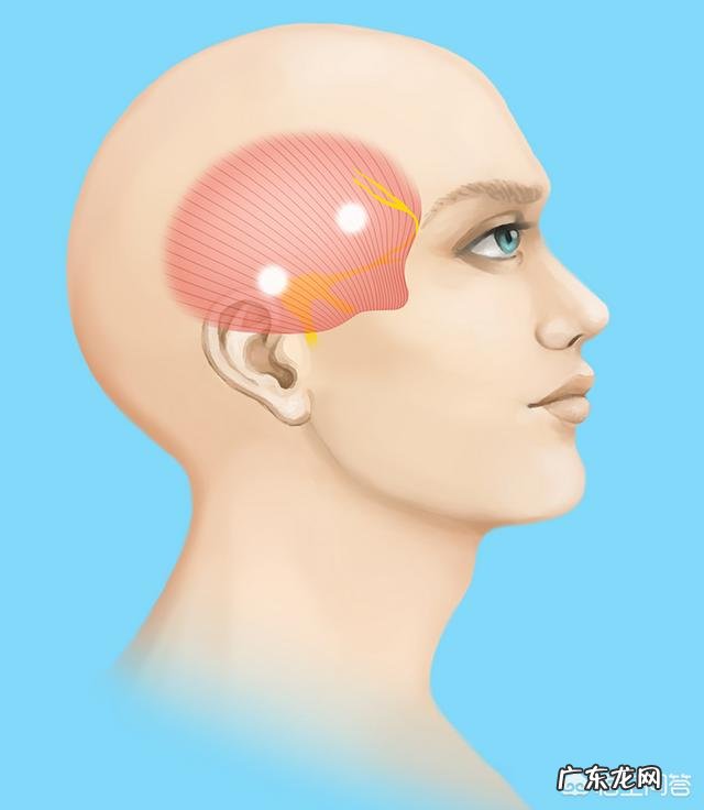 右耳朵侧面偏头痛是什么原因？