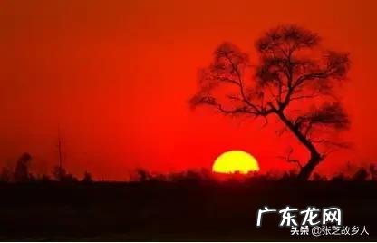 孩子马上一年ji,能给孩子一些建议吗?