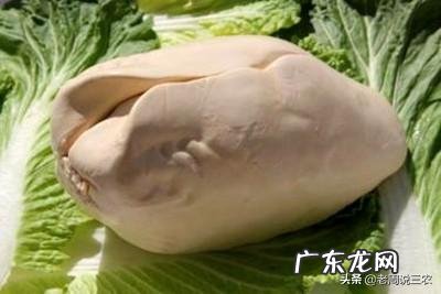 农村稻田养鸭怎么样能赚到钱吗,一亩需要养几只