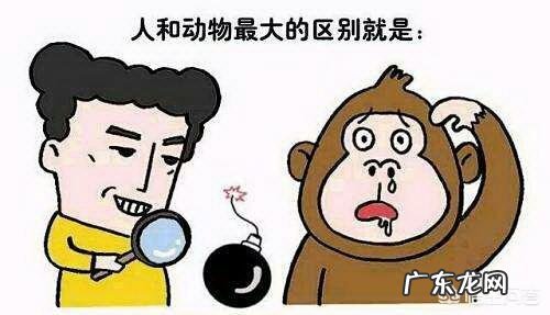 人是不是动物人的本质是什么人存在的意义是什么