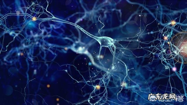 生酮饮食时，为什么早上空血糖会高？