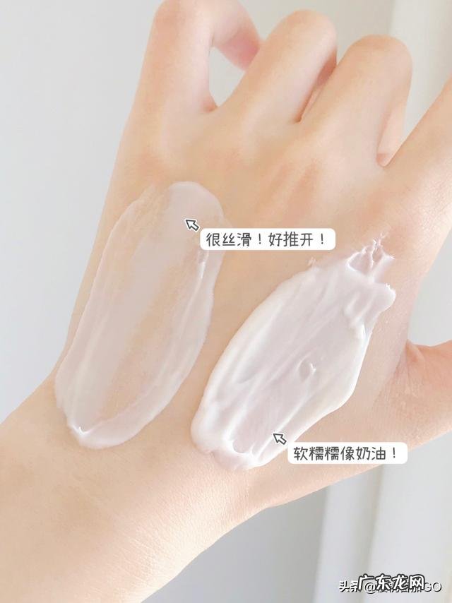 经常喝菊花茶有哪些好处和坏处?