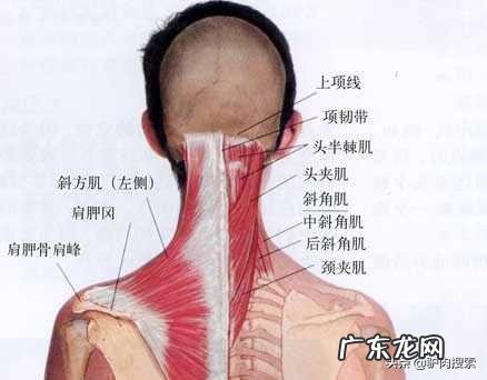 更年期得的颈椎病吃什么药好一些?