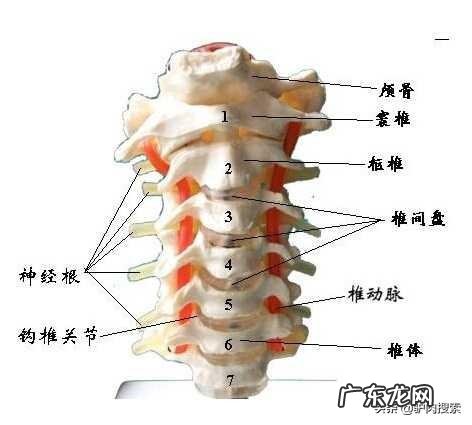 更年期得的颈椎病吃什么药好一些?