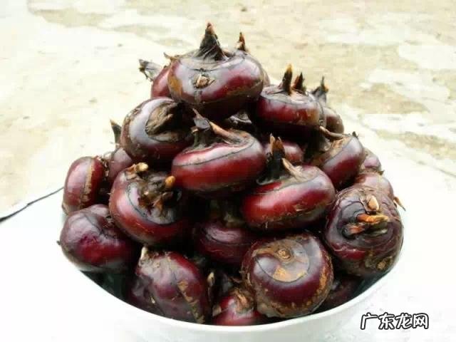 单身一个人必去的地方 喜欢单身的独处，一个人适合去旅游去哪些地方比较有情调？