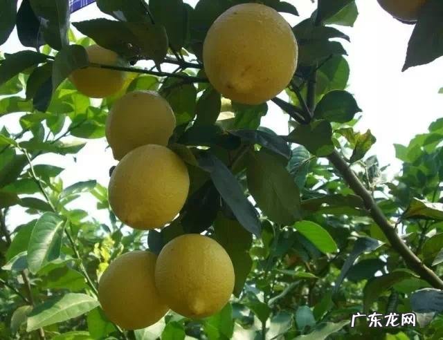 单身一个人必去的地方 喜欢单身的独处,一个人适合去旅游去哪些地方比较有情调?