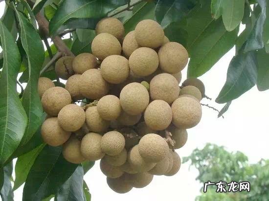 单身一个人必去的地方 喜欢单身的独处,一个人适合去旅游去哪些地方比较有情调?