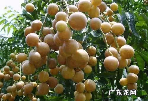 单身一个人必去的地方 喜欢单身的独处,一个人适合去旅游去哪些地方比较有情调?