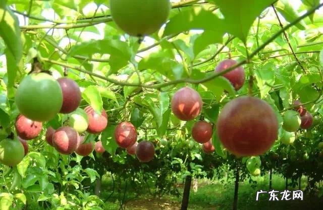 单身一个人必去的地方 喜欢单身的独处,一个人适合去旅游去哪些地方比较有情调?