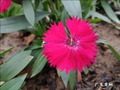 两个不同层次的人相爱，最终会是怎样，层次低的人是不是该放手？