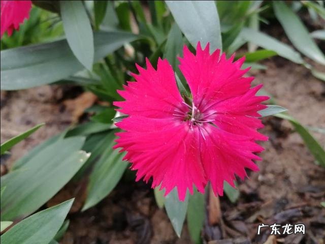 两个不同层次的人相爱,最终会是怎样,层次低的人是不是该放手?