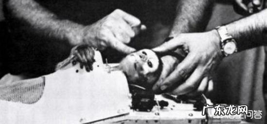 当年被送到太空中的那些动物们现在都怎样了？