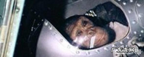 当年被送到太空中的那些动物们现在都怎样了？