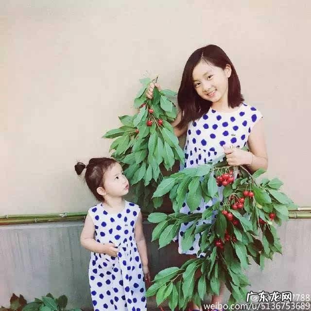 哪些明星家的孩子长得最帅气最美丽?