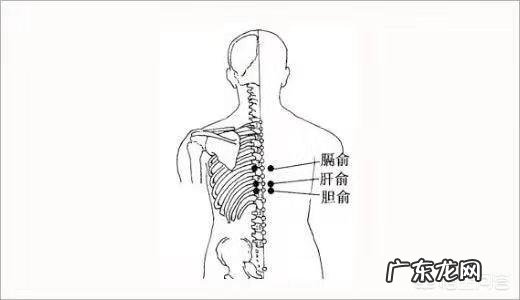 肝炎可以通过中药来调理改善吗?