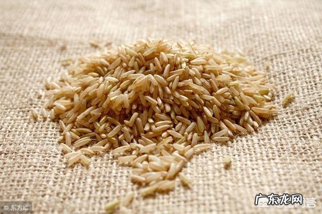 听说好的身材都是“吃”出来的，有什么对减肥有利的食物呢？