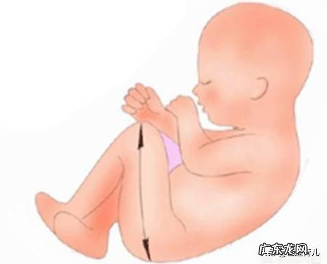 孕34周股骨长85，是不是很大