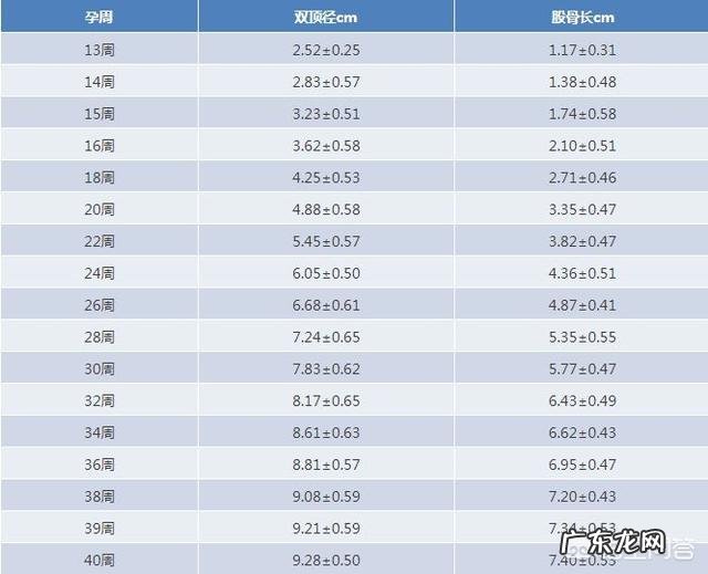 孕34周股骨长85，是不是很大