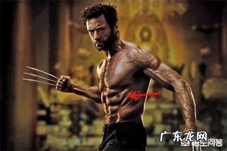 健身前是先增肌好,还是先减脂好? 健身先增肌再减脂