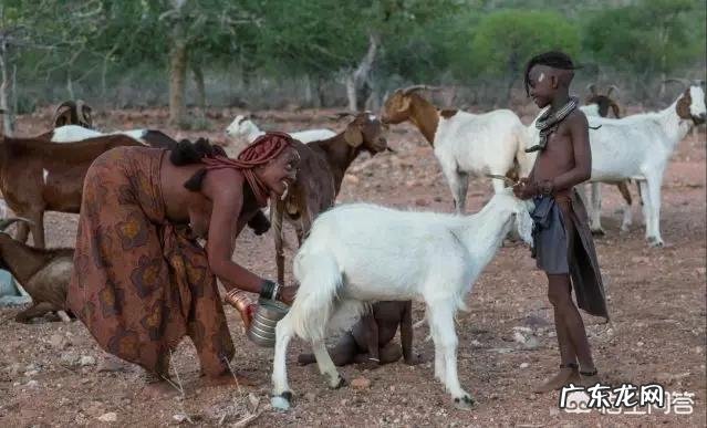 非洲的那些原始部落是什么样的? 非洲原始部落视频完整版