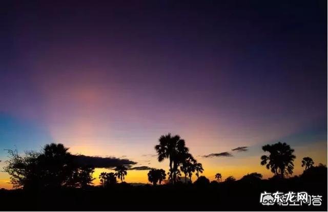 非洲的那些原始部落是什么样的？ 非洲原始部落视频完整版