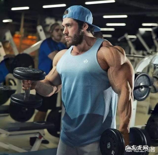 为什么吃素的大猩猩没有蛋白粉却一身肌肉比人类都强壮?