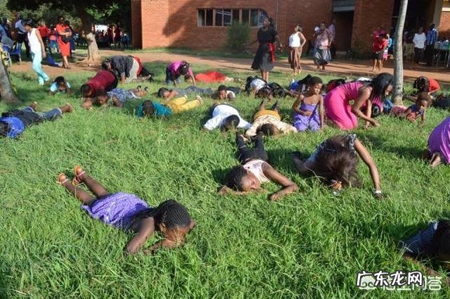 为什么吃素的大猩猩没有蛋白粉却一身肌肉比人类都强壮?