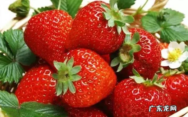 减肥期间遇到聚会吃大餐怎么办