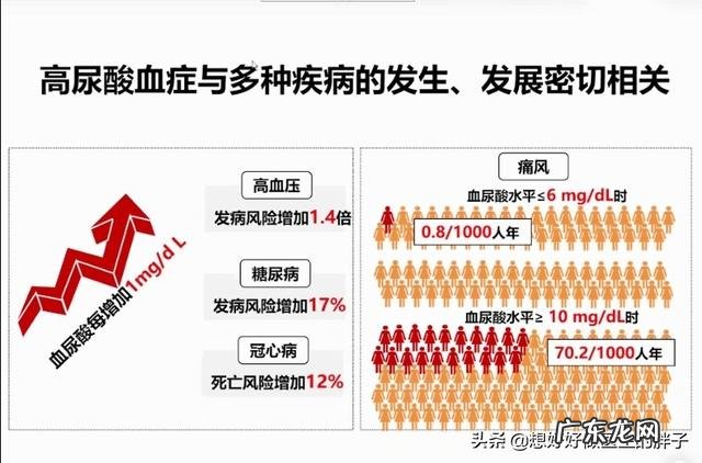一样的饮食一样的运动为什么掉秤越来越少