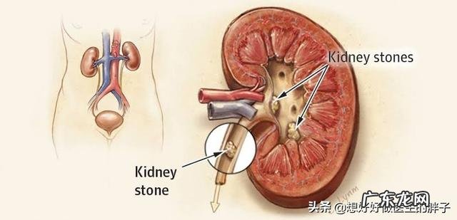 一样的饮食一样的运动为什么掉秤越来越少