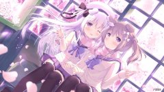 主持人李泽鹏个人资料身高