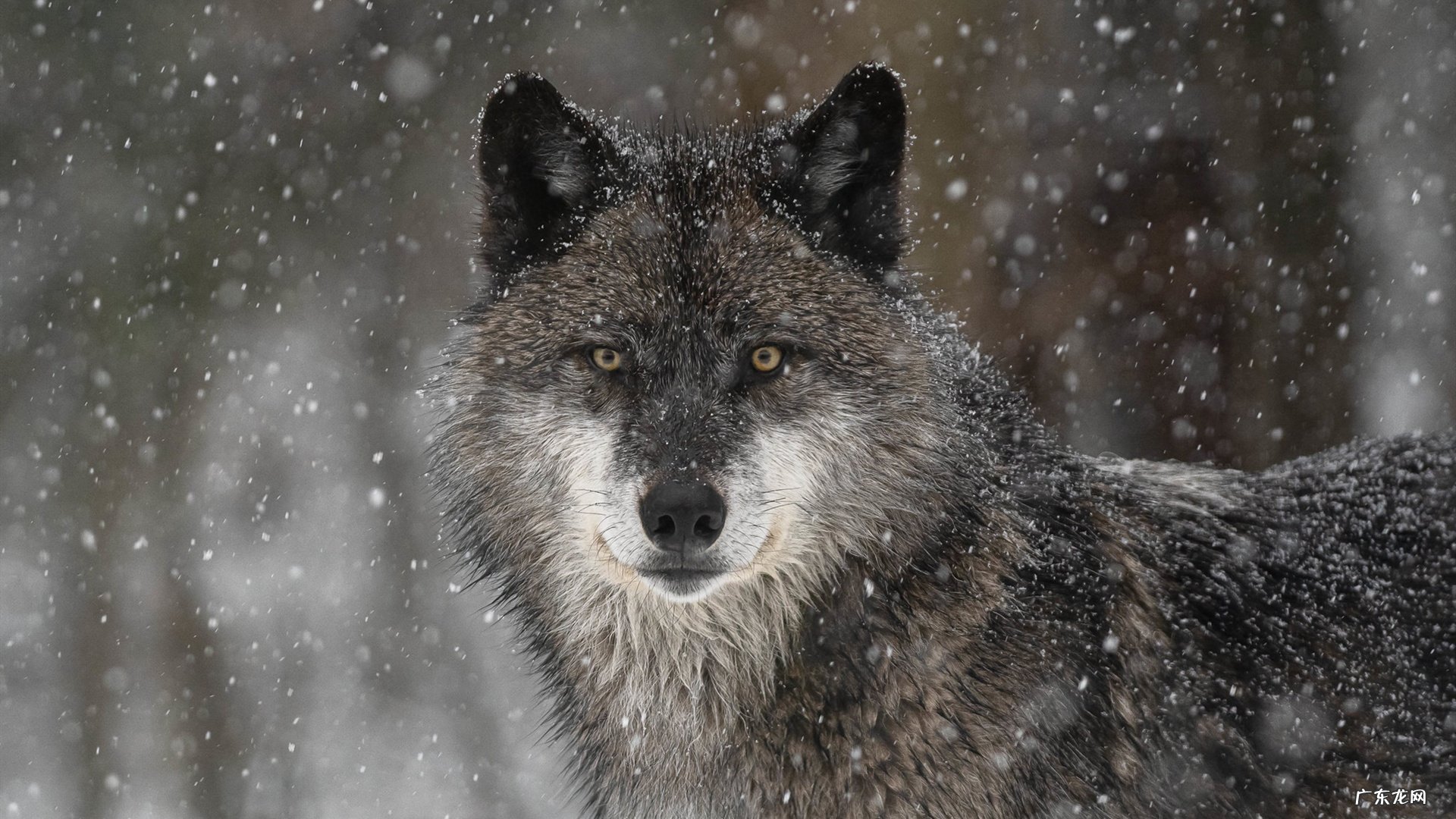 想要瘦出芊美身材?新妈妈如何在产后快速瘦身?