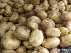 你喜欢在农村，还是在城市，城市快乐多，还是在农村快乐多？