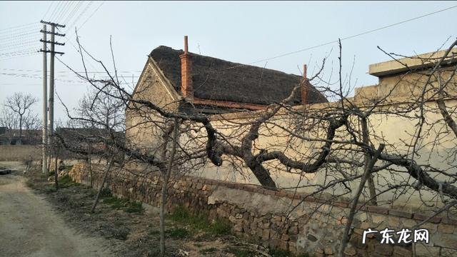 你喜欢在农村,还是在城市,城市快乐多,还是在农村快乐多?