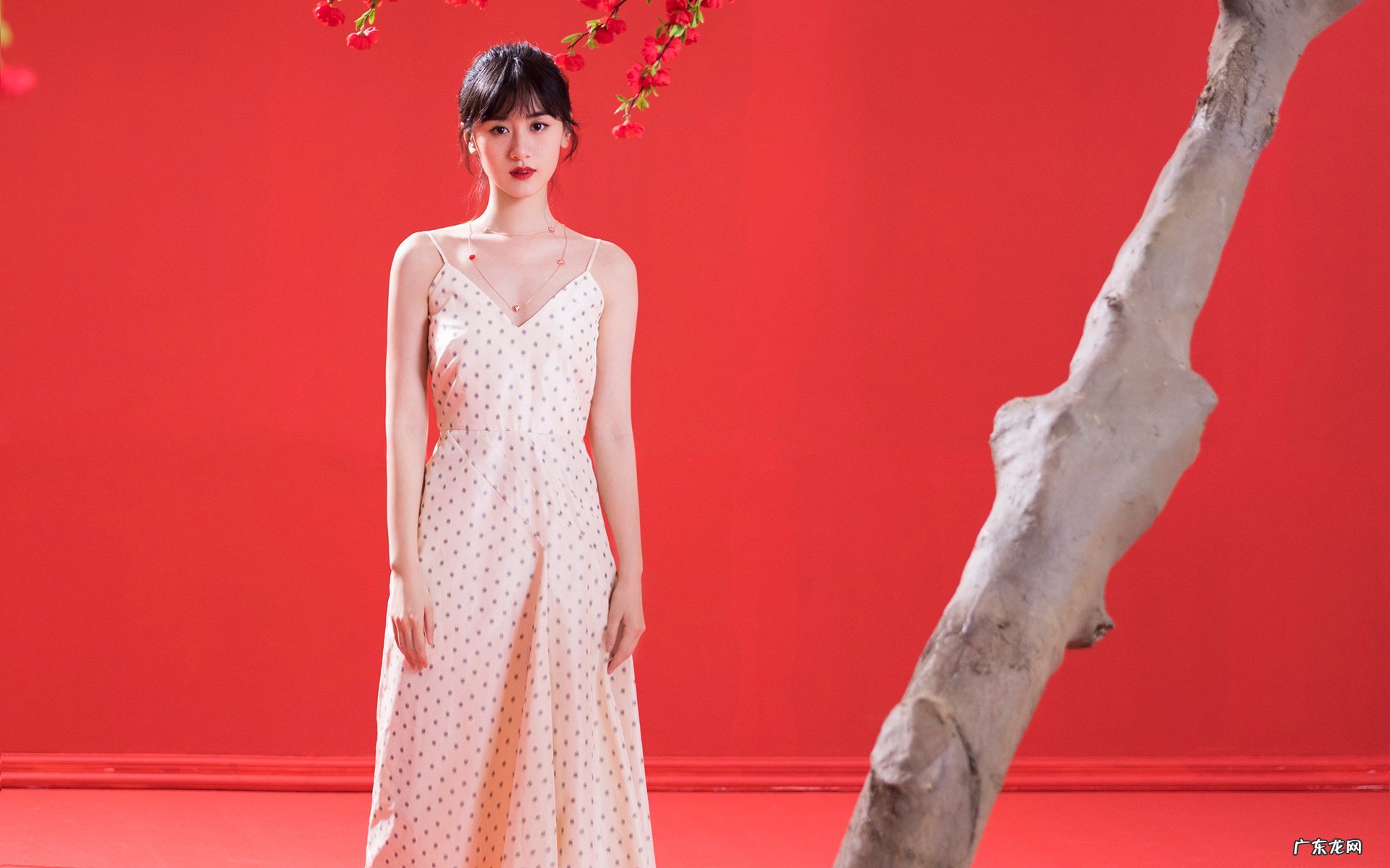 油煎的食物不容易消化为什么这样说呢?