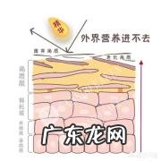 什么样的皮肤需要去角质去角质有什么作用