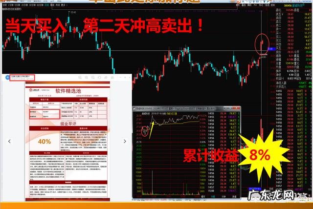 怎样才能选出未来两天能增长8个点以上的股票