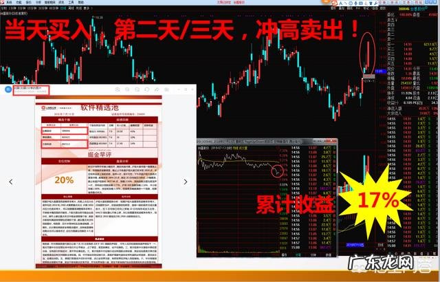 怎样才能选出未来两天能增长8个点以上的股票