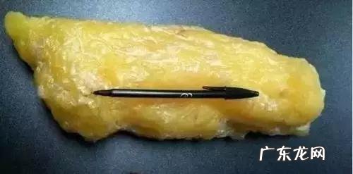 健身房去3个月,能减多少