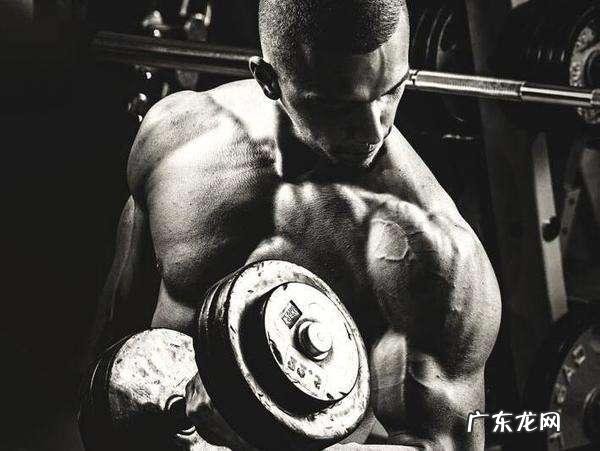 健身房去3个月,能减多少