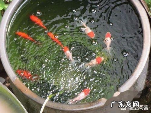 睡在空调下面会对身体产生哪些危害?