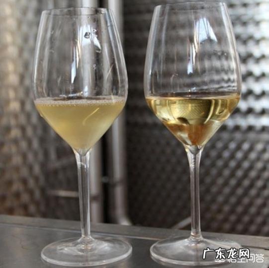 蛋白粉为什么可以提高免疫力?